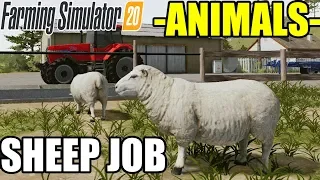 Farming Simulator 20 : ANIMALS - SHEEP SENDING FEEDING | Timelapse