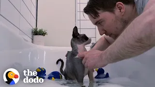 Watch This Guy Give His Cat a Bubble Bath | The Dodo