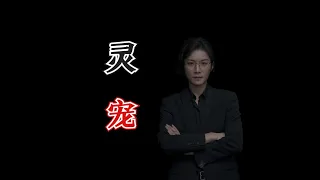 【民间故事】灵宠 ：到底什么才是能聚财挡灾【老飘讲故事】