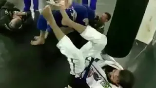 BJJ black belts repeatedly submitting a white belt