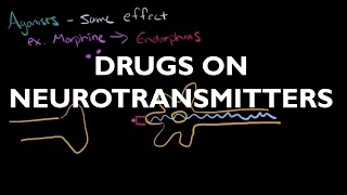 The Influence of Drugs on Neurotransmitters - AP Psychology