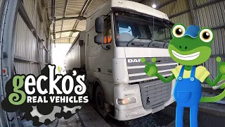 Gecko and the Wash Truck + More! | Gecko's Real Vehicles | Educational Videos For Toddlers