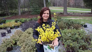 First Spring Nursery Tour // Gardening with Creekside