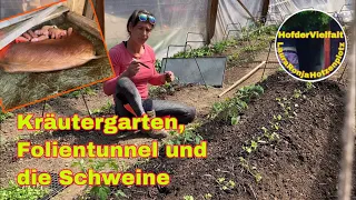 Bauerngarten umgestalten | #Farmvlog | Selbstversorgung | Bauernhof