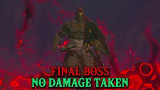 FINAL BOSS - NO DAMAGE, NO SHIELD, NO ARROWS | The Legend of Zelda: Tears of the Kingdom