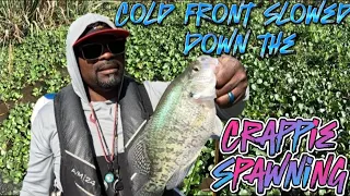 Crappie spawning slowed down after cold front the night before.