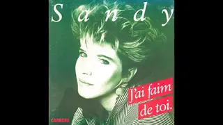 Sandy Stevens - J'Ai Faim De Toi - Variete - 1988