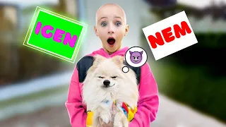 NICOLE KOPASSZONYUL! 😮 A kutya 24 órában irányítja az életemet | Miss Nicole és barátai