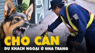Con chó cắn du khách nước ngoài ở Nha Trang trước đó đã cắn nhiều người