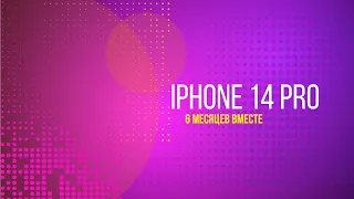 iPhone 14 Pro. 6 месяцев вместе.