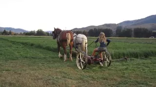 Mowing Hay with Horses