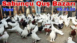 Sabunçu Quş Bazarı 5 noyabr 2023 #sabuncuqusbazari #qusbazari