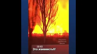 пожар на лебяжьем озере в измаиле