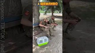 🥺До військового прийшов котик