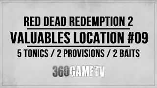 Red Dead Redemption 2 Valuables Location Guide - 5 Tonics / 2 Provisions / 2 Herbivore Baits