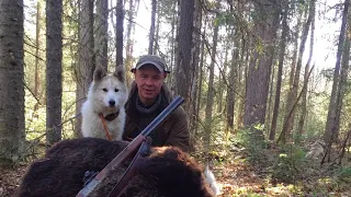 С лайкой на медведя