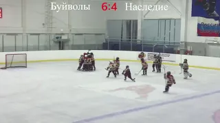 Буйволы vs Наследие