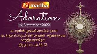 🔴 LIVE 16  SEPTEMBER 2022 Adoration 11:00 AM | Madha TV