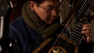 The Harp-Lute at Erddig: Haydn's Surprize