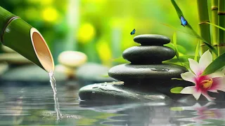 Serene Water Fountain and Bird Song 🍀 Relaxing Music for Meditation and Mindfulness, Zen Music 24/7