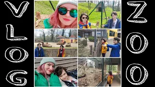 ВЛОГ в Зоопарке Аахен | Куда сходить с детьми в Германии | Что посмотреть в Аахене | Fun DI VLOG