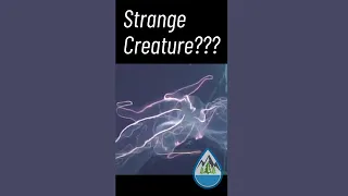 Strange Creature Filmed at 4000 Feet Deep