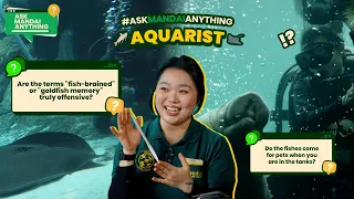 #AskMandaiAnything - Are the phrases 'fish-brained' or "goldfish memory" truly offensive?