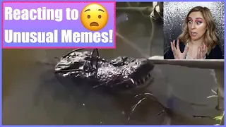 Reacting to Unusual Memes V89 V90