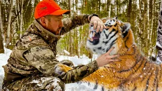 Tiger Begs Soldier for Help, But the Reason Behind It Surprised Everyone!