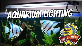 Aquarium Lighting Decoded, What's The Best For Your Fish Tank?