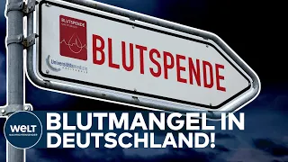 BLUTSPENDEN: Blutmangel in Deutschland – Jetzt werden dringend Spender gesucht I WELT News