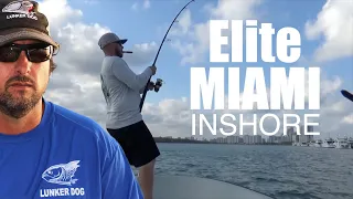 Miami Inshore Fishing Snook and Tarpon with Guide Jeff Maggio the Lunkerdog