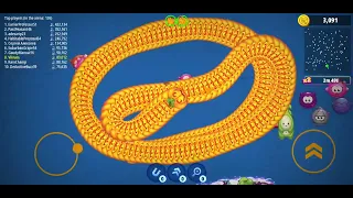 🐍WormsZone.io ❤001 Slither Snake Top01 _Best World Record Snake Epic cacing WormsZoneio #291