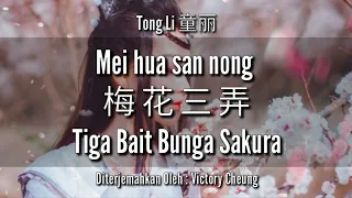 Mei hua san nong 梅花三弄 - 童丽 Tong Li (lirik dan terjemahan)