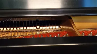 Bobbing Hammers The Grand Piano (Double strike hammers that need adjustment).