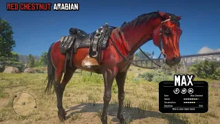 The Most Neglected Arabian in Red Dead Redemption 2 | Red Chestnut Arabian | RDR2 | PS4 Slim