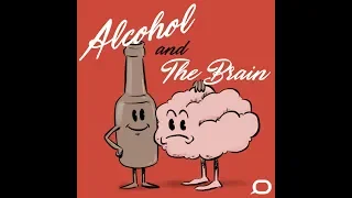 Part 3: How does alcohol affect the brain?