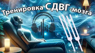 Бинауральная тренировка СДВГ-мозга 🎧 НАДЕВАЙТЕ НАУШНИКИ!