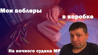 С ЧЕМ ИДТИ НА СУДАКА? Обзор воблеров в моей коробке для ночного судака на Москва-реке