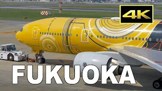 [4K] Plane Spotting at Fukuoka Airport in Japan 〜one summer day〜 / 福岡空港 / Fairport
