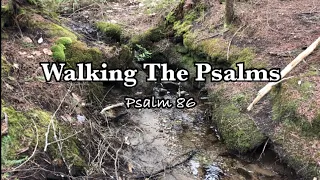 GREAT IS YOUR STEADFAST LOVE | Psalm 86 | Walking Scripture