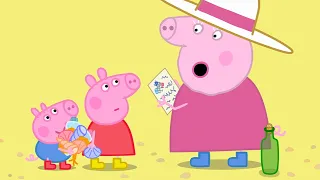 Treasure Hunt On The Beach 🏴‍☠️ | Peppa Pig Official Full Episodes