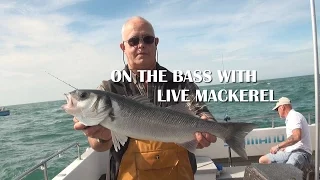 Bass fishing with live mackerel on board Peace and Plenty III out of Weymouth UK