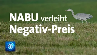 NABU verleiht Negativ-Preis "Dinosaurier des Jahres"