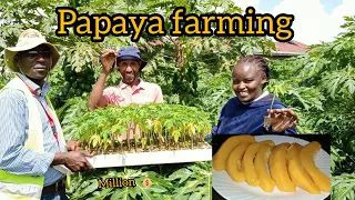 💰 Make Millions Farming Pawpaw: Expert Tips! 🌿