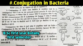 Conjugation in Bacteria || B.Sc first year Botany first semester Microbiology and plant pathology