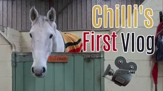 Chilli's First Vlog | Tack Up & Ride