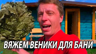 ВЕНИКИ для БАНИ.  КОГДА вязать веники? КАК вязать ВЕНИКИ.