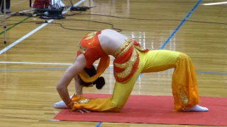 大道芸その３「中国雑技団」