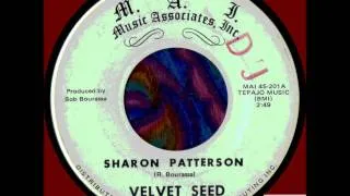 VELVET SEED - SHARON PATTERSON (M.A.I.) 1968